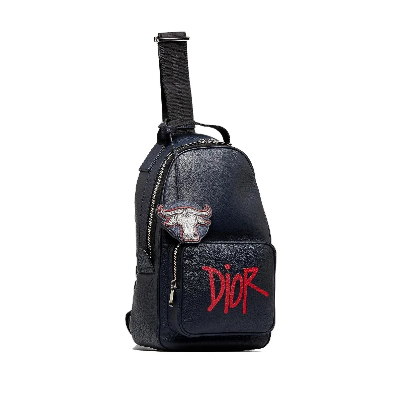 Christian Dior bags with a detachable coin purse insideDior x Shawn Stussy Year of the Ox Sling (nLJr34)